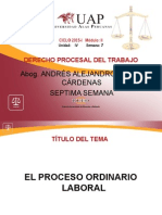 AYUDA 7 - El Proceso Ordinario Laboral