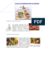 Clasificacion de Los Alimentos Por Su Funcion