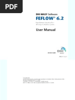 Manual Feflow6.2 Ingles