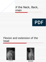 Muscles of The Neck, Back, Abdomen