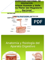 Sistema Digestivo Expo