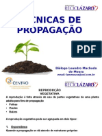 Tecnicas de Propagacao de Plantas