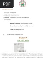 Biologia Endosoma