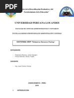 Sistema de Informacion Erp