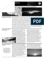 Carlsbad Caverns: Bat Research