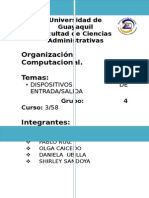 Disp. Entrada y Salida