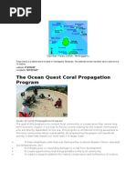 The Ocean Quest Coral Propagation Program: Gambar Pulau Gelok, Terengganu