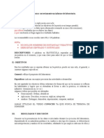 Orientaciones para Elaborar Correctamente Un Informe de Laboratorio