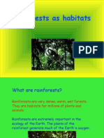 Rainforest Powerpoint