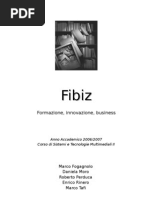 Business Plan Completo Fibiz