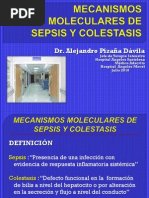 Colestasis y Sepsis