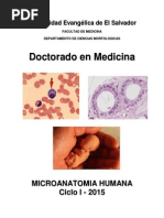 Manual Microanatomía Humana Doctorado en Medicina Ciclo I - 2015 PDF