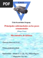 Enfermedades de Los Peces