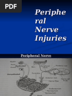 Peripheral Nerve Injury