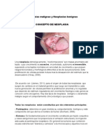 Neoplasias Malignas y Neoplasias Benignas