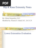 HIp & Knee Extremity Notes Sorgenfrey Gindl 7.16.10