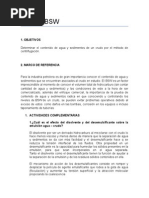 Informe BSW