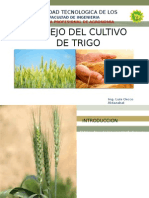 2 Cereales-Cultivo Del Trigo