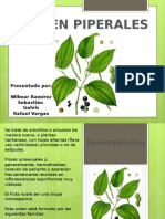 Piperales