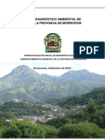 Diagnostico Ambiental Local Prov.