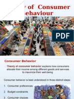 Theory of Consumer Behaviour