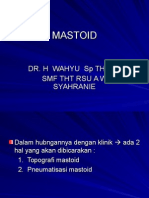 Anatomi Mastoid