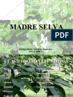 Madre Selva