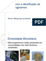 Isolamento e Identificação de Microrganismos