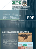 Asimilacion de Sulfato 