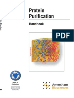 Protein Purification