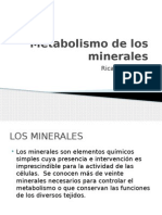 Metabolismo de Los Minerales