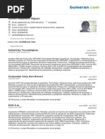 CV Ramon Alejandro Iniguez PDF