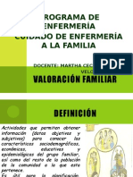 Valoracinfamiliar 1