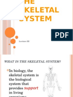 The Skeletal System