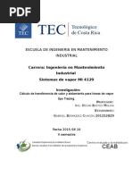 Cálculo de Transferencia de Calor y Aislamiento para Líneas de Vapor Tipo Tracing.