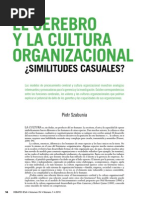 El Cerebro y La Cultura Organizacional