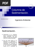 Columna de Sedimentacion PDF