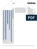 Gamma Ray Log - Schlumberger