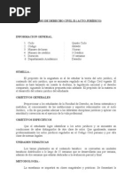 Derecho Civil II Acto Juridico