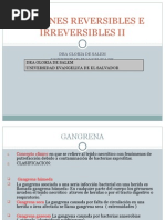 05-Lesiones Reversibles e Irreversibles II Clase