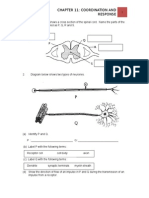 Module Questions