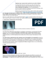 Las Diez Enfermedades Contagiosas Que Causan Más Muertes