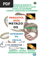 Parasitologia - Metazoos