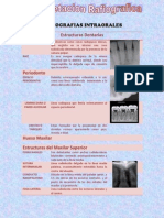 Radiografias PDF