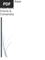 Base de Datos Espaciales Oracle 11g