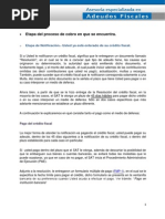 Proceso de Cobro de Credito Por Parte Del Sat