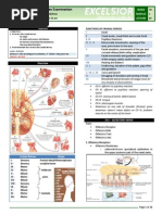 B16M01L07 - Cranial Nerves Examination