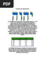 El Secreto Del Shem Ha Phorash