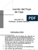 Elaboracion Del Flujo de Caja I