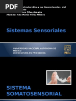 Sistemas Sensoriales